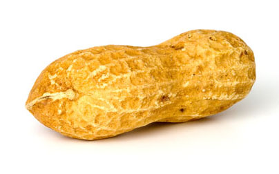 Peanut Butter Salmonella